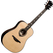 LAG HV50DE HyVibe 50 Dreadnought