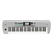 Korg i3 Music Workstation Plata