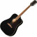 Epiphone Hummingbird Tribute Ebony