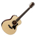 Taylor GS Mini-e Rosewood Plus