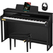 Casio Celviano AP-750 BK Digital Piano Black Set