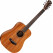 Taylor BT2 Baby Mahogany