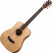 Taylor BT1 Baby