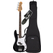 Fender Standard Precision Bass Black Set