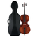 Classic Cantabile Brioso cello set 3/4