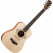 Taylor TSBT Taylor Swift Baby Taylor Natural