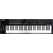 Nektar Impact LX61 mk3