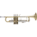 Bach Stradivarius ML 180-43R Bb-Trompet Gelakt
