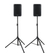 Pronomic C-210 MP 10" Passivbox Stativ Set