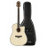 Rocktile WSD-100C NT Westerngitaar Gigbag Set