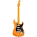 Fender American Professional Stratocaster Natural