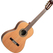 Ortega R20GSNWN Traditional Series 4/4 Konzertgitarre