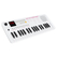 Classic Cantabile MINI-37 Keyboard bianco-rosa
