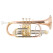 Lechgold CR-18L Bb-Cornetta verniciata