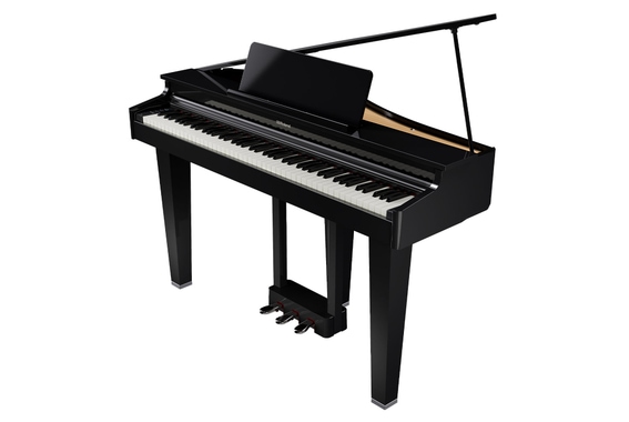 Roland GP-3 PE Digitalflügel  - Retoure (Zustand: sehr gut) image 1