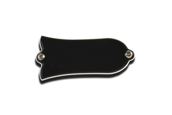 Gibson Truss Rod Cover Blank image 1