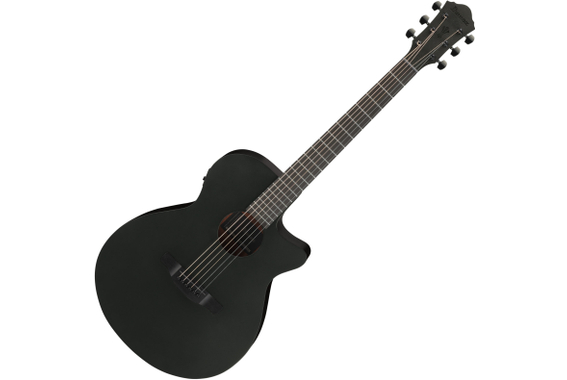 Ibanez AEG621-BOT Guitare Folk Black Out image 1