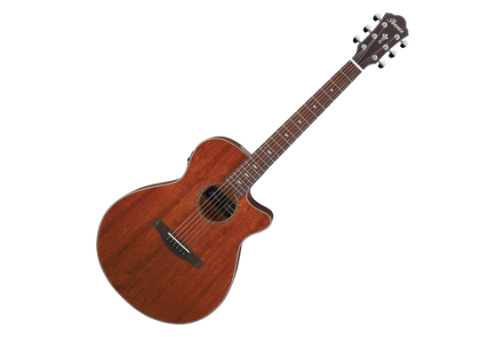 Ibanez AEG220-LGS Natural Low Gloss  - Retoure (Zustand: sehr gut) image 1