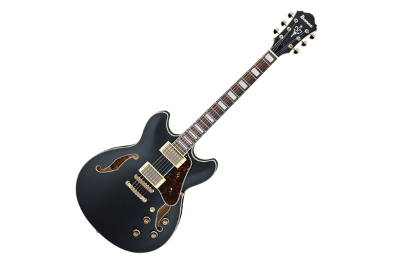 Ibanez AS73G-BKF Gitarre Black Flat image 1