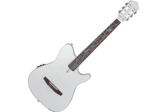 Ibanez TOD10N-SMF Chitarra Silver Metallic Flat image 1