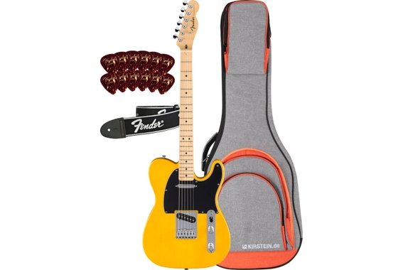 Fender Standard Telecaster Butterscotch Blonde Set image 1