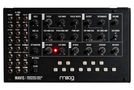 Moog Mavis Synthesizer image 1
