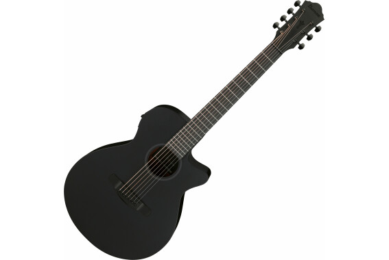 Ibanez AEG721-BOT Black Out image 1