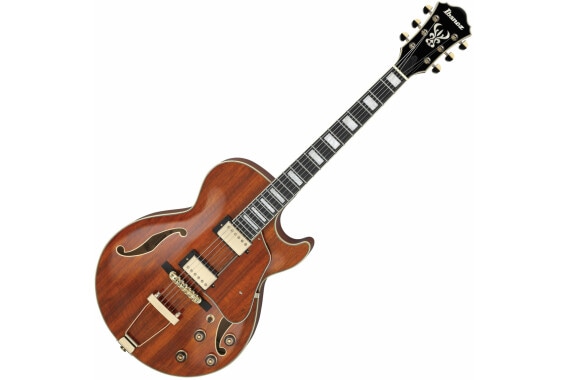 Ibanez AG95K-NT Natural  - 1A Showroom Modell (Zustand: wie neu, in OVP) image 1