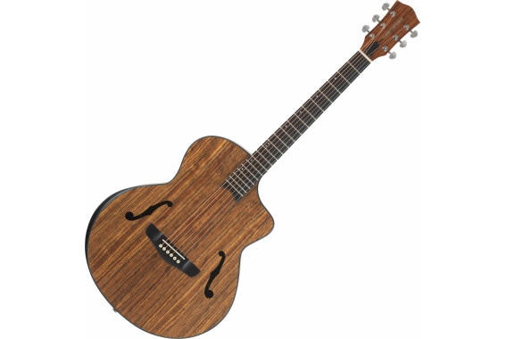 Classic Cantabile SHG-2WN LaBelle Westerngitarre image 1