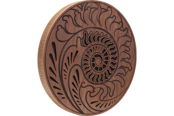 Meinl RDO15F Sonic Energy 15\" Rain Disk Son Océanique Avec Gravure Inspirée De Fibonacci image 1