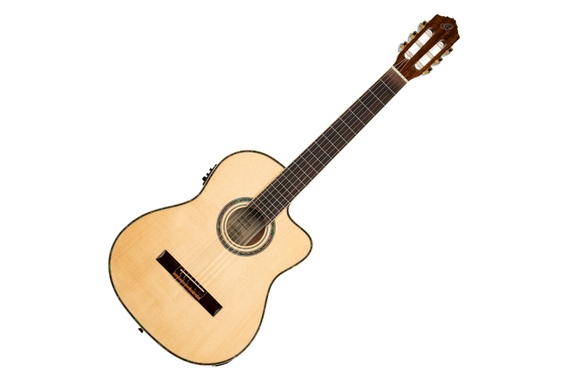 Ortega RCE141NT Family Series Pro Akustikgitarre image 1