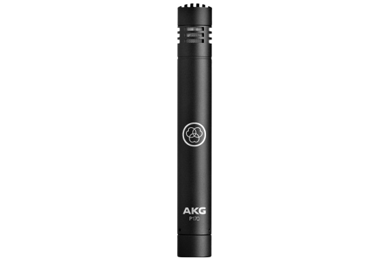 AKG P-170 Mikrofon  - Retoure (Zustand: sehr gut) image 1
