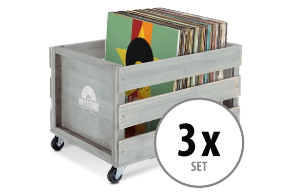 Stagecaptain SPK-100 GY Vinyl Record Case "Emil" Grey 3x set image 1