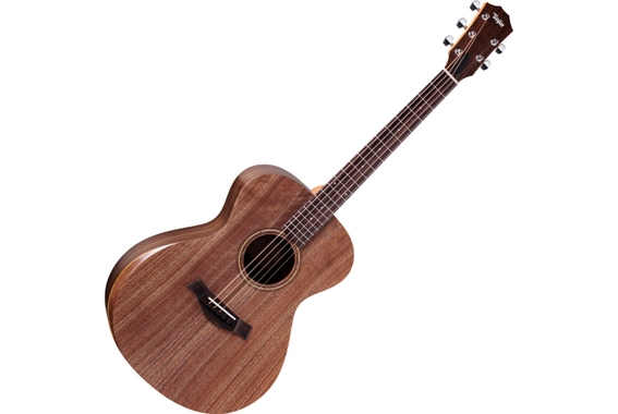 Jacob Collier Academy 22e 5-String image 1