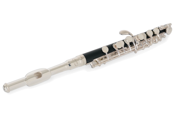 Flauta Piccolo Classic Cantabile PF-300 image 1