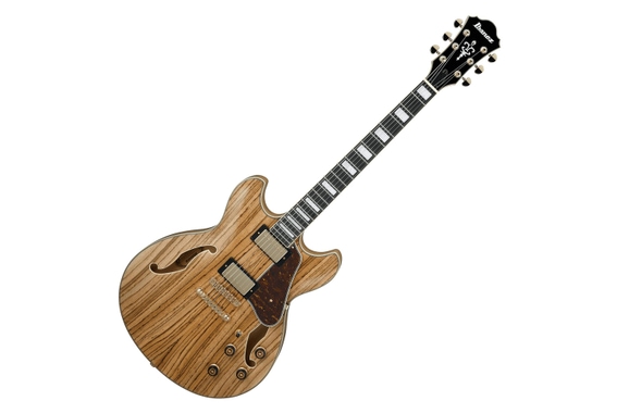 Ibanez AS93ZW-NT Natural image 1