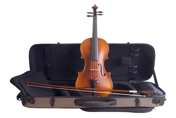 Stentor Handmade ProSeries Arcadia 4/4 Violine image 1