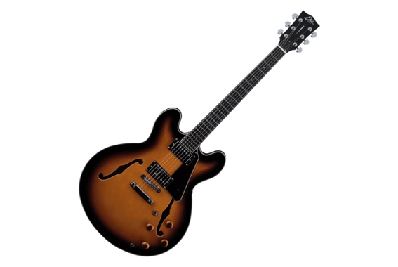 Eko Guitars SA 350 Hollowbody E-Gitarre Sunburst image 1