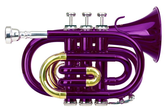 Classic Cantabile Brass TT-400 Bb-Taschentrompete violett image 1