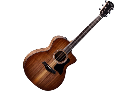 Taylor 124ce Walnut-Top Special Edition image 1