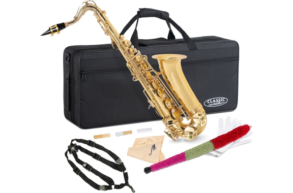 Classic Cantabile Youngstar AS-420 Alto Saxophone Strap Set image 1