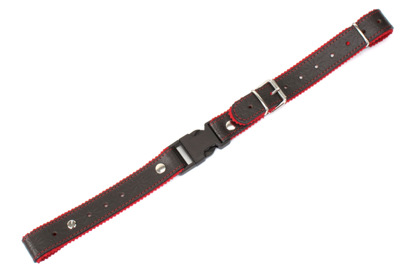Sangle Transversale Alpenklang pour Accordéon/Harmonica - marron/rouge image 1