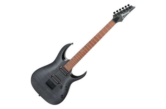Ibanez RGA42FM-TGF Transparent Gray Flat image 1
