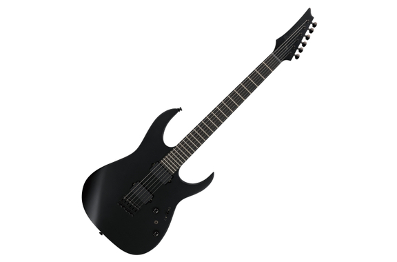 Ibanez RGRTB621-BKF Iron Label image 1