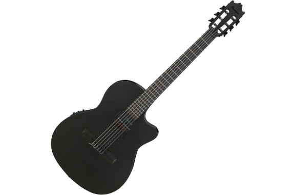 Ibanez GA621-BOT 4/4 Concertgitaar Black Out image 1
