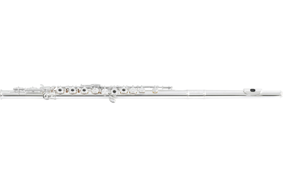 Di Zhao Querflöte 801 RCE image 1