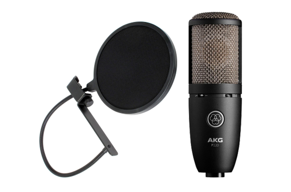 AKG P-220 Large-Diaphragm Microphone Set image 1