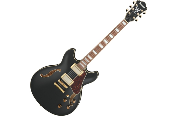 Ibanez AS73G-BKF Guitare Black Flat image 1