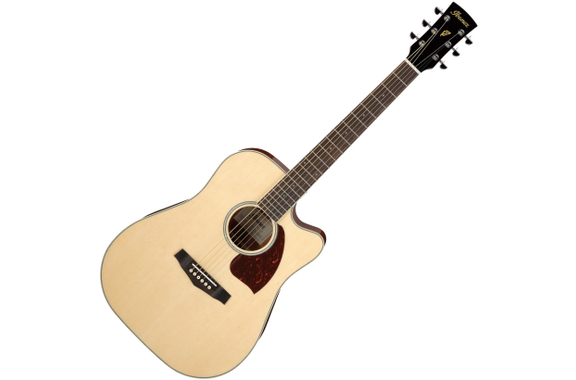 Ibanez PF16WCE-NT Natural image 1