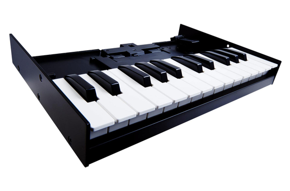 Clavier Roland K-25M image 1